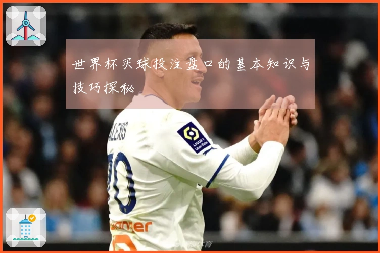 世界杯买球投注盘口的基本知识与技巧探秘