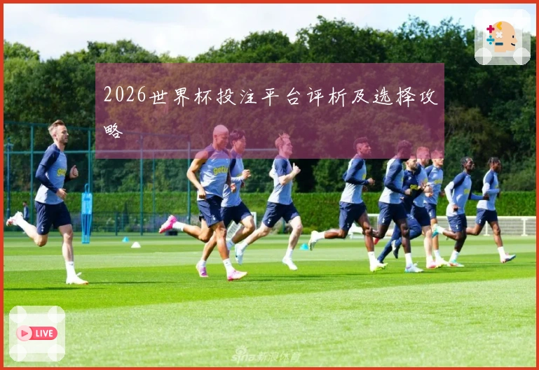 2026世界杯投注平台评析及选择攻略