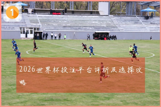 2026世界杯投注平台评析及选择攻略